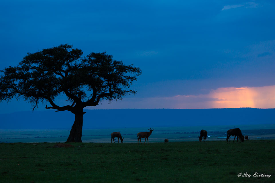 2018-09-09-5D-Afrika-1190.jpg