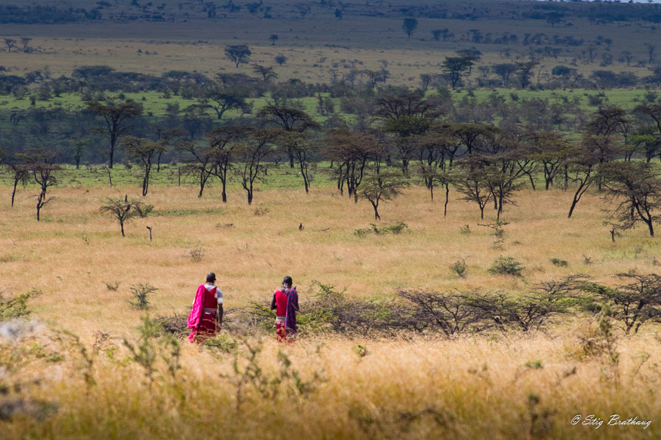 2018-09-09-7D2-Afrika-1-170.jpg