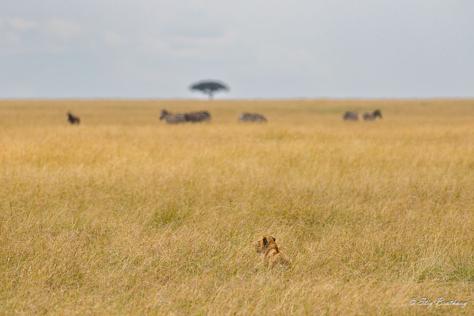 2018-09-09-7D2-Afrika-1-3251.jpg