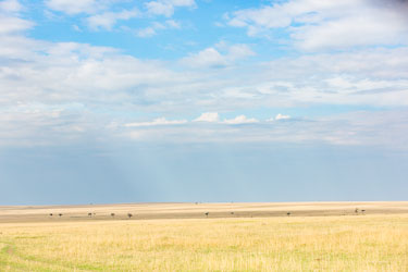 Høy himmel over savannen 2018-09-09-5D-Afrika-1078.jpg