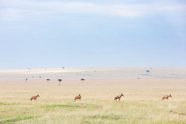 Drømmelandskap 2018-09-09-5D-Afrika-1094.jpg