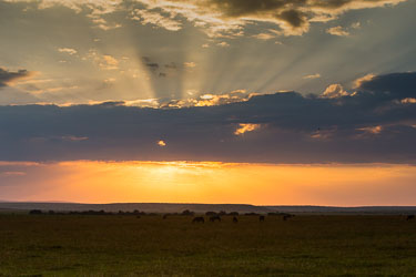 Tidlig morgen 2018-09-09-5D-Afrika-887.jpg