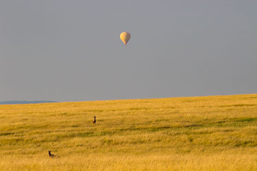 Ballongferd i tidlig morgenlys 2018-09-09-7D2-Afrika-1-4072.jpg