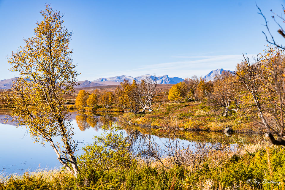 2024-09-22-R5II-Dovrefjell-093.jpg