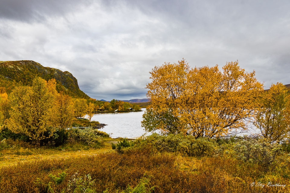 2025-09-20-R5II-Dovrefjell-073.jpg