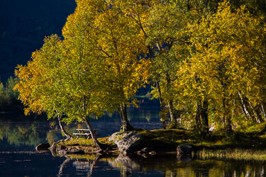 Naturens farger Naturens farger