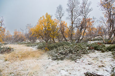 2018-09-23-5D-Dovrefjell-087.jpg