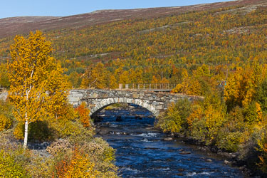 2020-09-20-R5-Dovrefjell-193.jpg