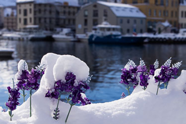 Byen min - Ålesund Byen min - Ålesund