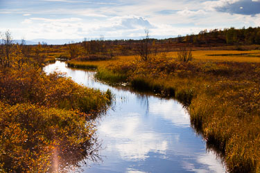 Dovrefjell - det evige i Norge Dovrefjell - det evige i Norge