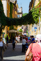 Roma Roma