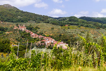 2012-7D-Juli-Toscana_092.jpg