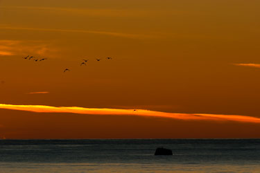 Ut mot havet Ut mot havet