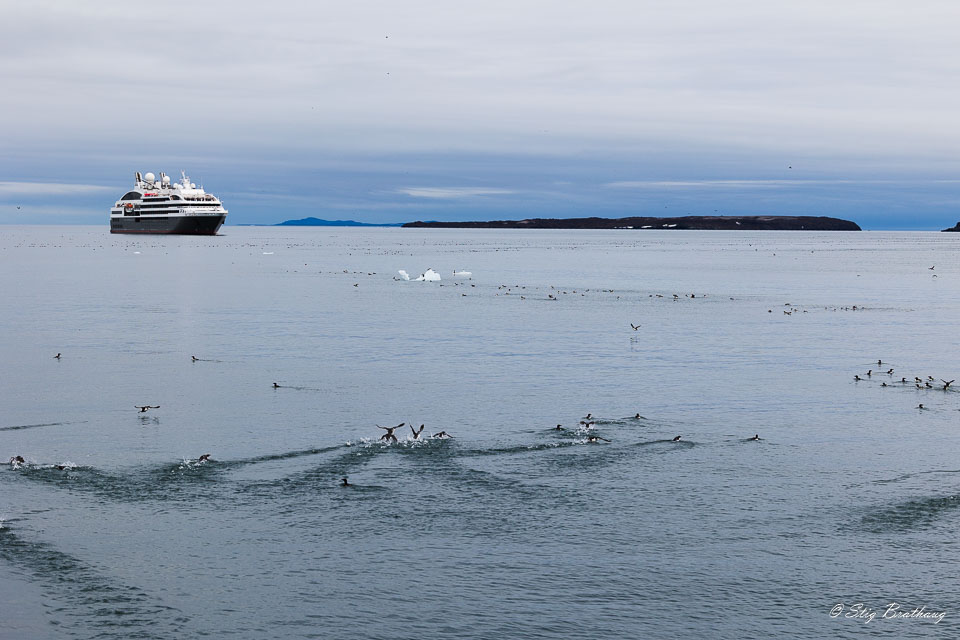 2022-08-13-R6S-Dag-3-Isbjørn-44.jpg