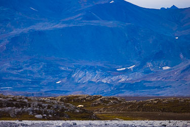 Vår første isbjørn! 2022-08-11-R5-Dag-1-Hvaler-58.jpg