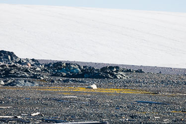 Hviler på Storøya 2022-08-15-R5-Dag-5-Hvalross-26.jpg
