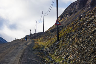 Mange store hunder, samt uvant varselskilt 2022-08-20-R5-Dag-10-Longyearbyen-199.jpg