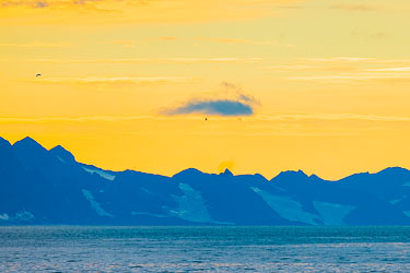 2022-08-11-R5-Dag-1-Hvaler-131.jpg