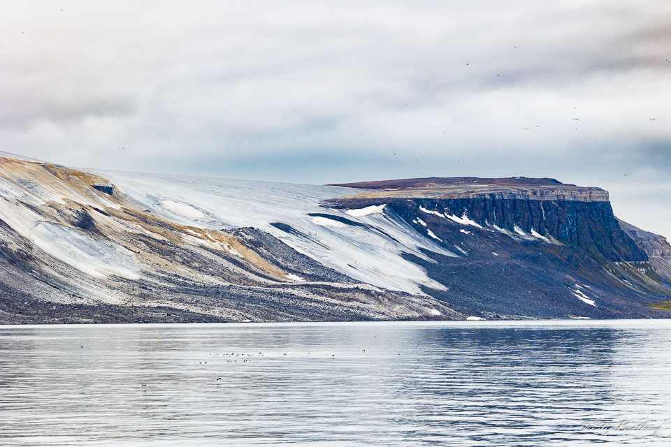 2022-08-13-R6S-Dag-3-Isbjørn-40.jpg